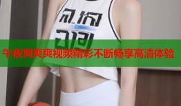 午夜爽爽爽视频精彩不断畅享高清体验