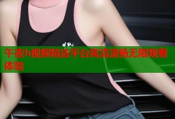 午夜h视频精选平台高清流畅无限观看体验