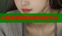 午夜畅享极致视频体验平台