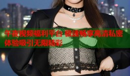 午夜视频福利平台 极速畅享高清私密体验吸引无限精彩