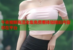 午夜视频高清全集免费看体验精彩内容尽在平台