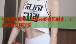 午夜看B视频，尽享夜间娱乐时光，丰富内容任你探索