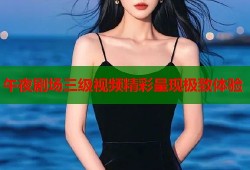 午夜剧场三级视频精彩呈现极致体验