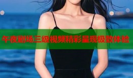 午夜剧场三级视频精彩呈现极致体验