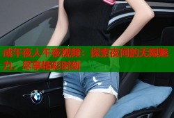 成午夜人午夜视频：探索夜间的无限魅力，尽享精彩时刻