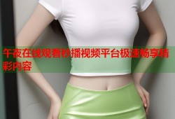 午夜在线观看秒播视频平台极速畅享精彩内容