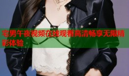 宅男午夜视频在线观看高清畅享无限精彩体验