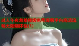 成人午夜羞羞视频免费观看平台高清流畅无限制体验(1)