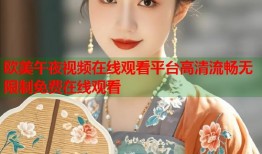 欧美午夜视频在线观看平台高清流畅无限制免费在线观看