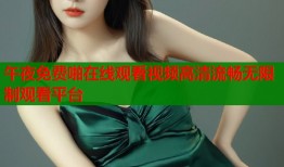 午夜免费啪在线观看视频高清流畅无限制观看平台