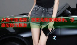 大胆午夜视频：探索无限夜间娱乐，尽享惊险与刺激