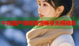午夜国产视频高清畅享无限精彩