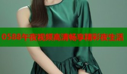 0588午夜视频高清畅享精彩夜生活