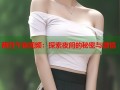 两性午夜视频：探索夜间的秘密与激情