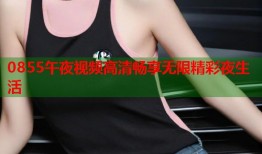 0855午夜视频高清畅享无限精彩夜生活
