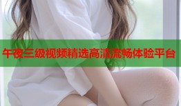 午夜三级视频精选高清流畅体验平台