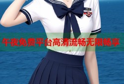 午夜免费平台高清流畅无限畅享