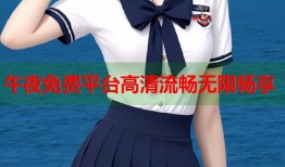 午夜免费平台高清流畅无限畅享