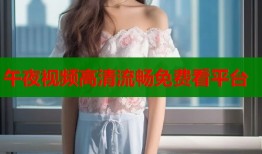 午夜视频高清流畅免费看平台