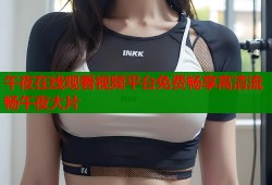 午夜在线观看视频平台免费畅享高清流畅午夜大片