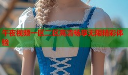 午夜视频一区二区高清畅享无限精彩体验