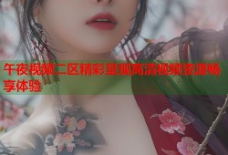 午夜视频二区精彩呈现高清视频资源畅享体验