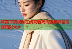欧美午夜视频在线观看高清流畅体验尽享精彩大片