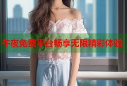 午夜免费平台畅享无限精彩体验