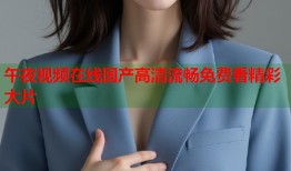 午夜视频在线国产高清流畅免费看精彩大片