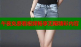 午夜免费看视频畅享无限精彩内容
