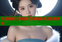 午夜视频三区精彩合集畅享高清影视体验