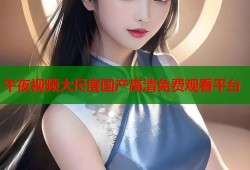午夜视频大尺度国产高清免费观看平台