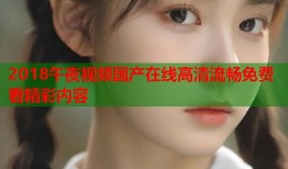 2018午夜视频国产在线高清流畅免费看精彩内容