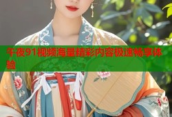 午夜91视频海量精彩内容极速畅享体验