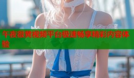 午夜很黄视频平台极速畅享精彩内容体验
