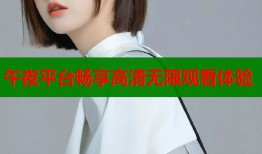 午夜平台畅享高清无限观看体验