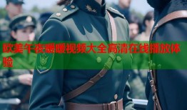 欧美午夜暖暖视频大全高清在线播放体验