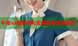 午夜aa视频精彩无限畅享高清体验