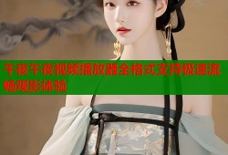 午夜午夜视频播放器全格式支持极速流畅观影体验