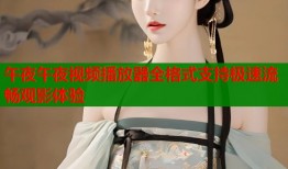 午夜午夜视频播放器全格式支持极速流畅观影体验