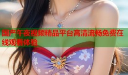 国产午夜视频精品平台高清流畅免费在线观看体验