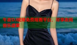 午夜DJ视频免费观看平台，尽享夜间音乐盛宴