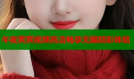 午夜爽爽视频高清畅享无限精彩体验