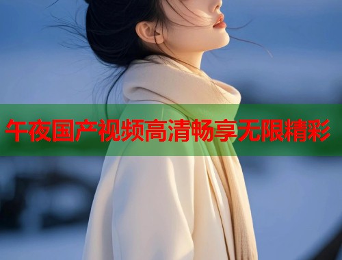 午夜国产视频高清畅享无限精彩