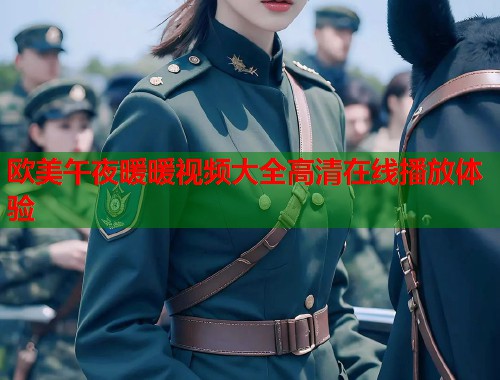 欧美午夜暖暖视频大全高清在线播放体验